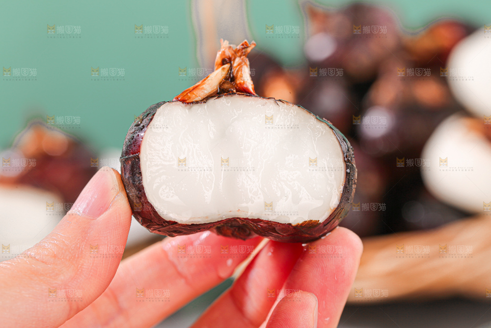 马蹄