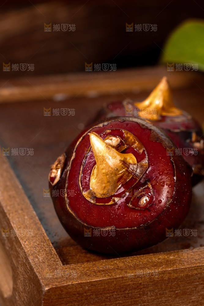 马蹄