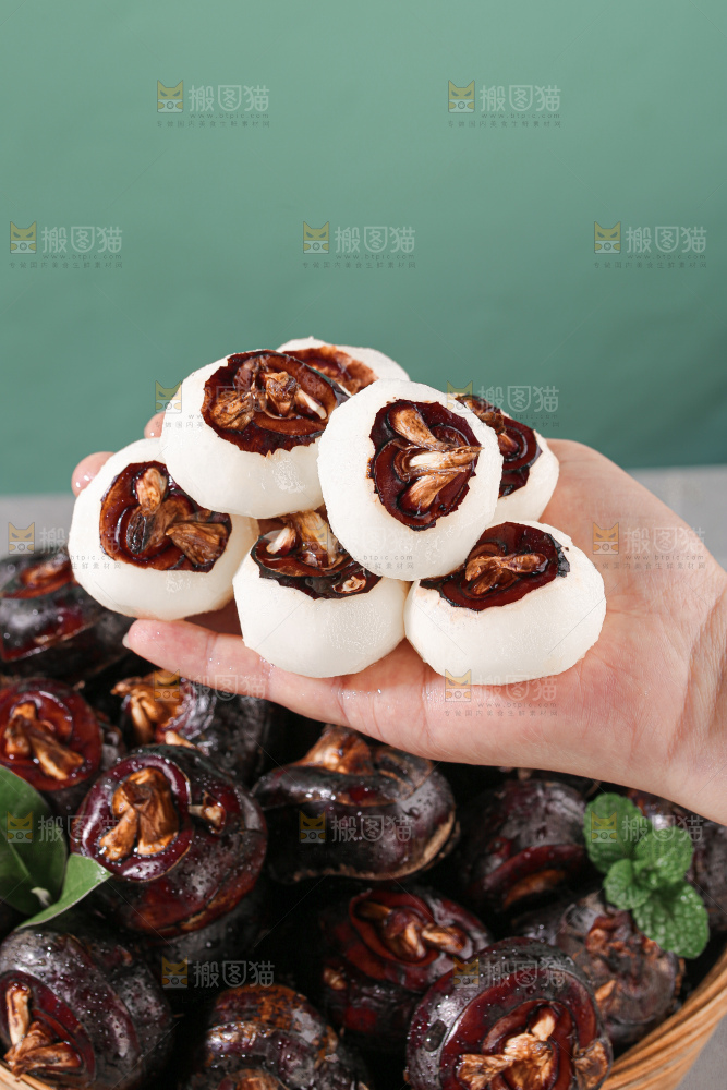 马蹄