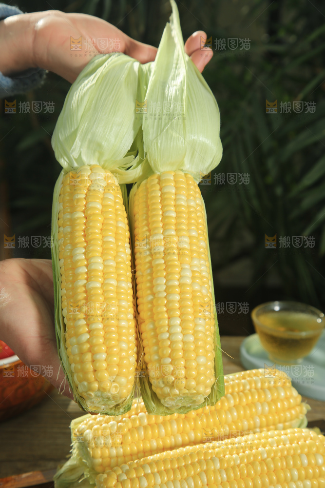 水果玉米