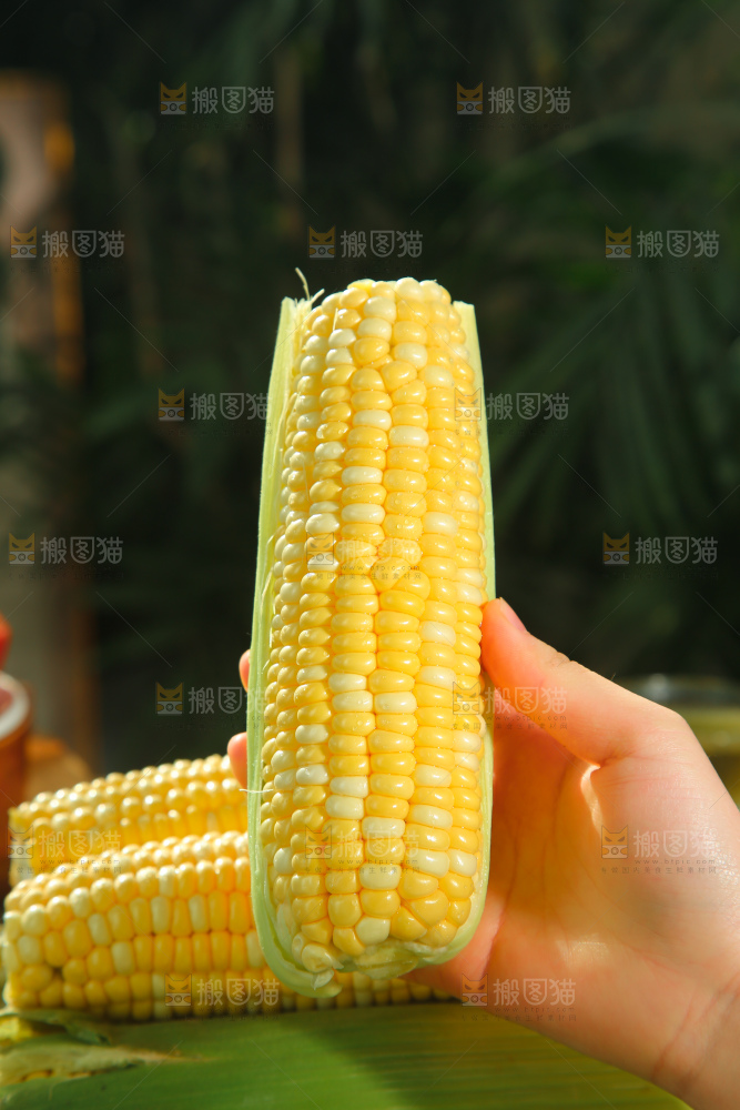 水果玉米
