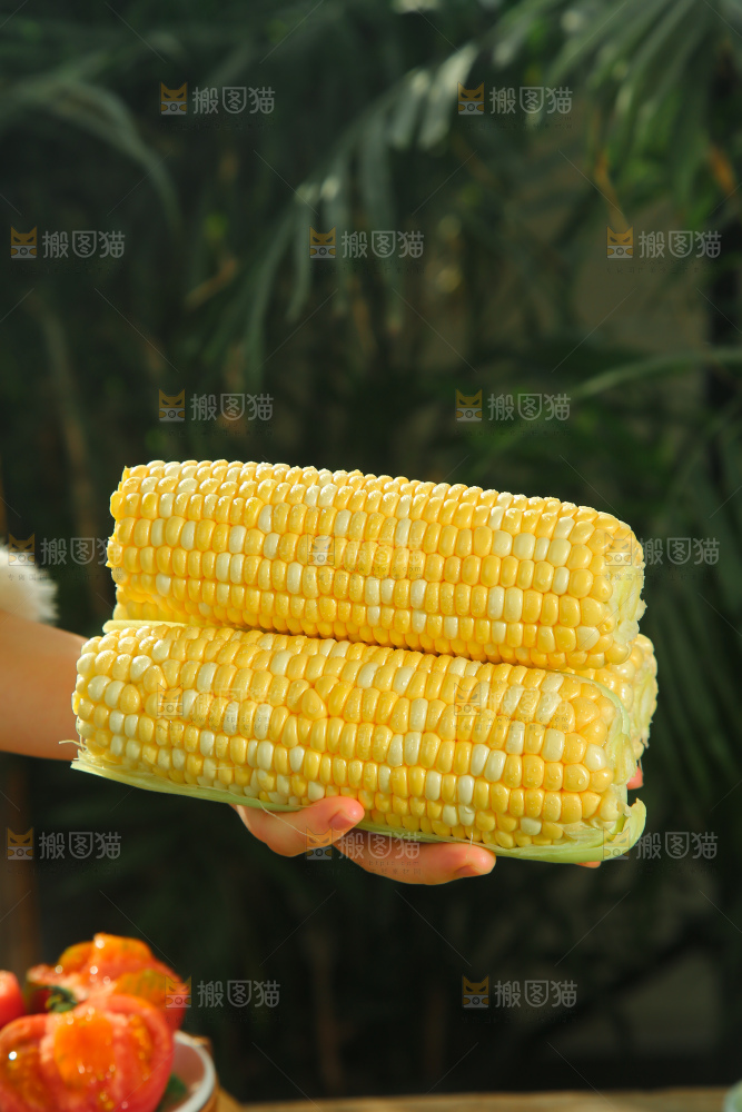 水果玉米