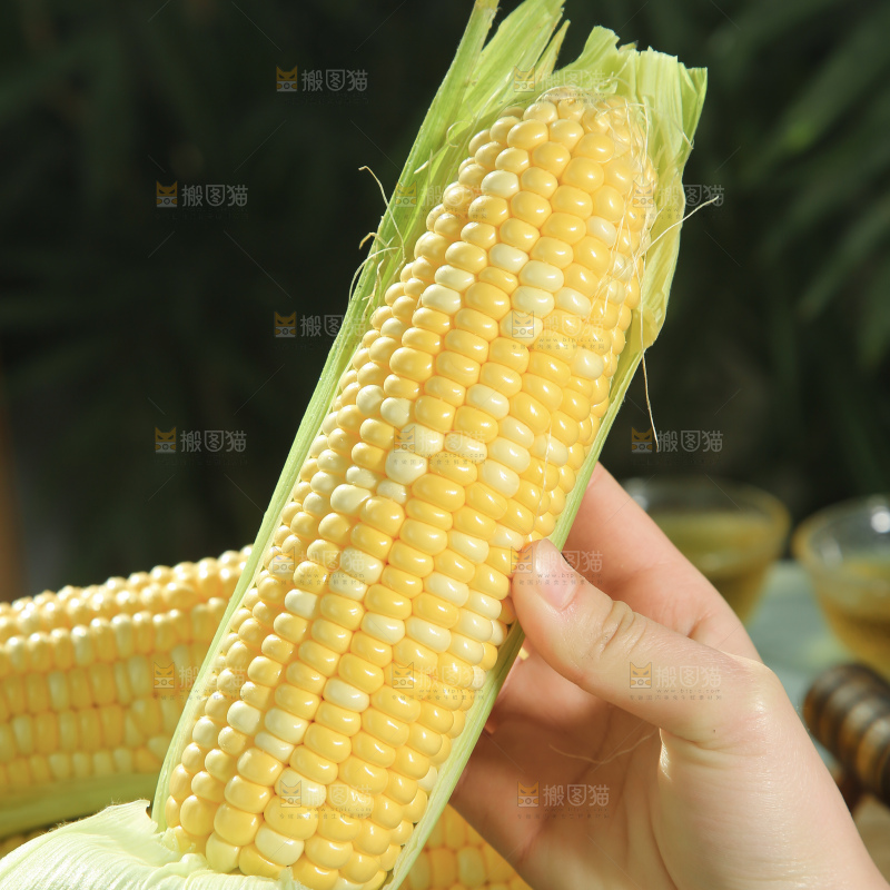 水果玉米