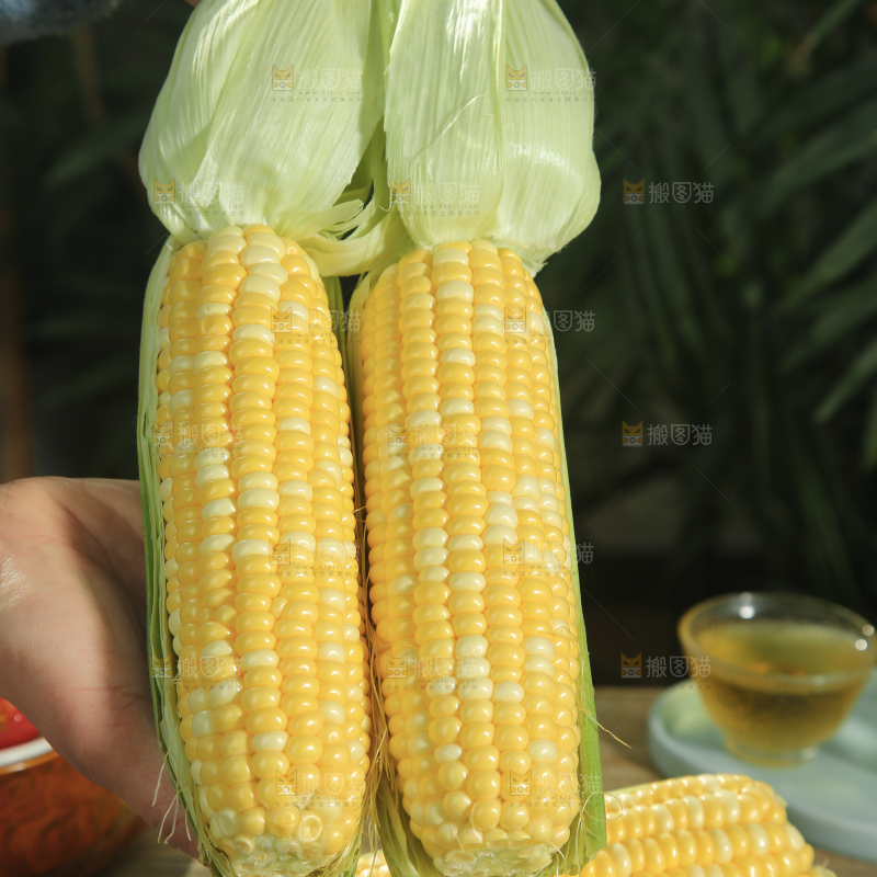 水果玉米