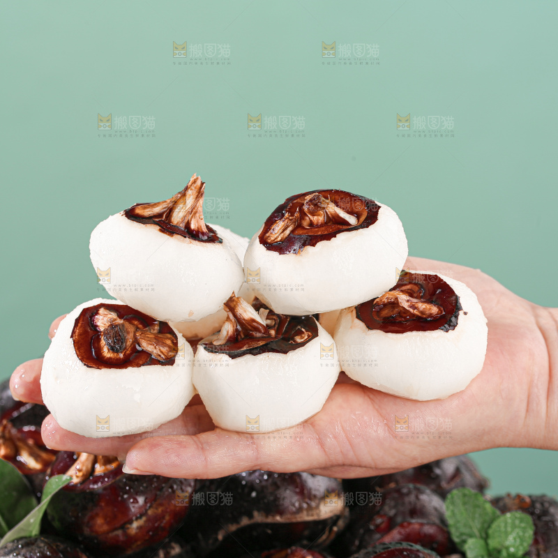 马蹄