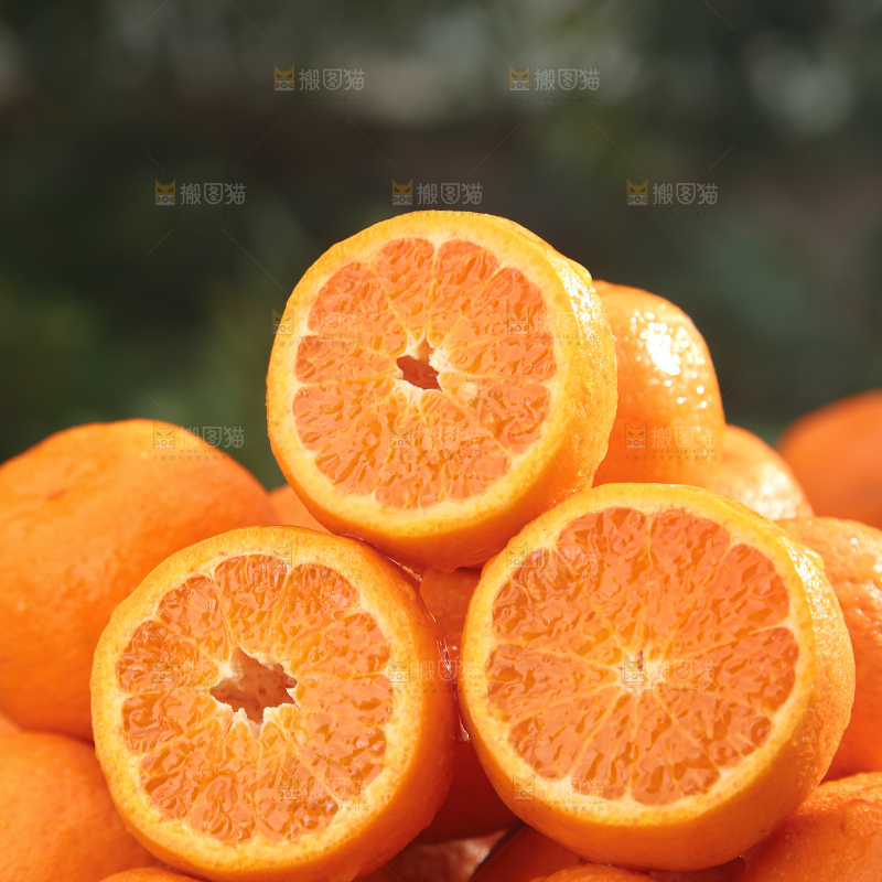 椪柑