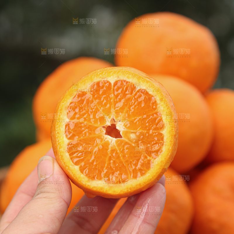 椪柑