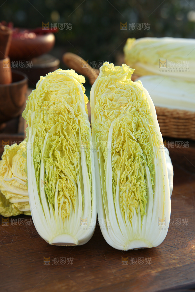 娃娃菜