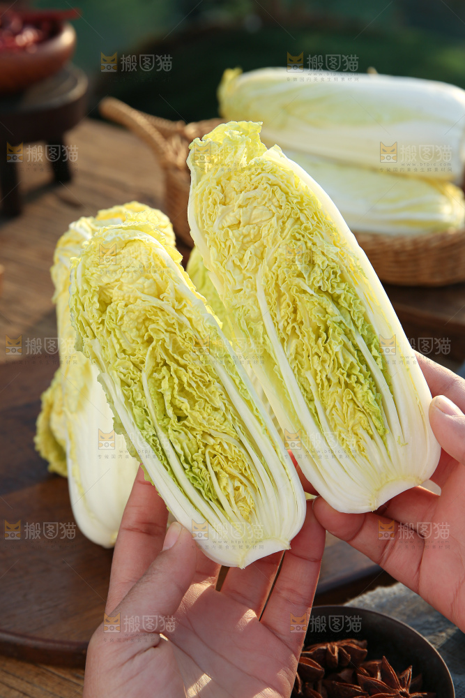 娃娃菜
