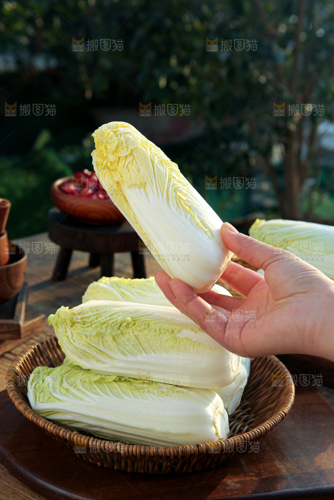 娃娃菜