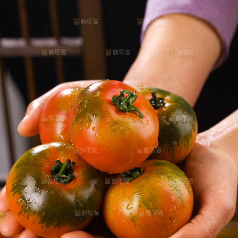 铁皮草莓柿子