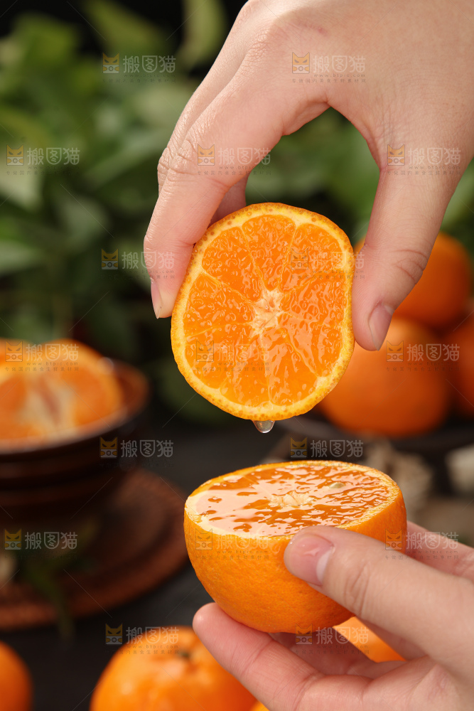 椪柑