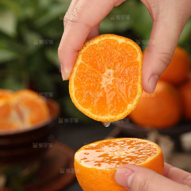 椪柑