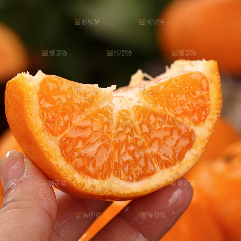椪柑