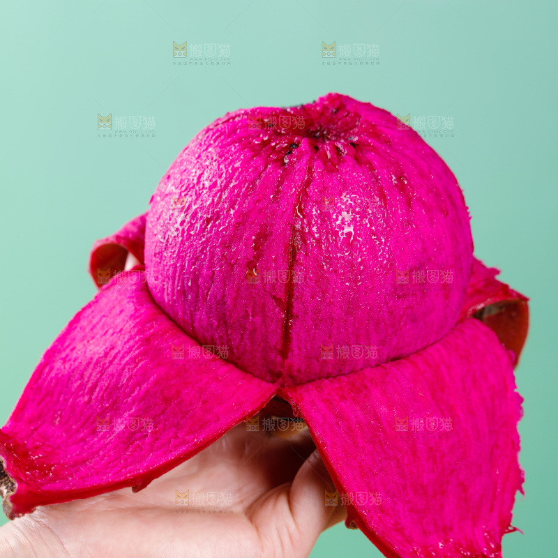 红心火龙果