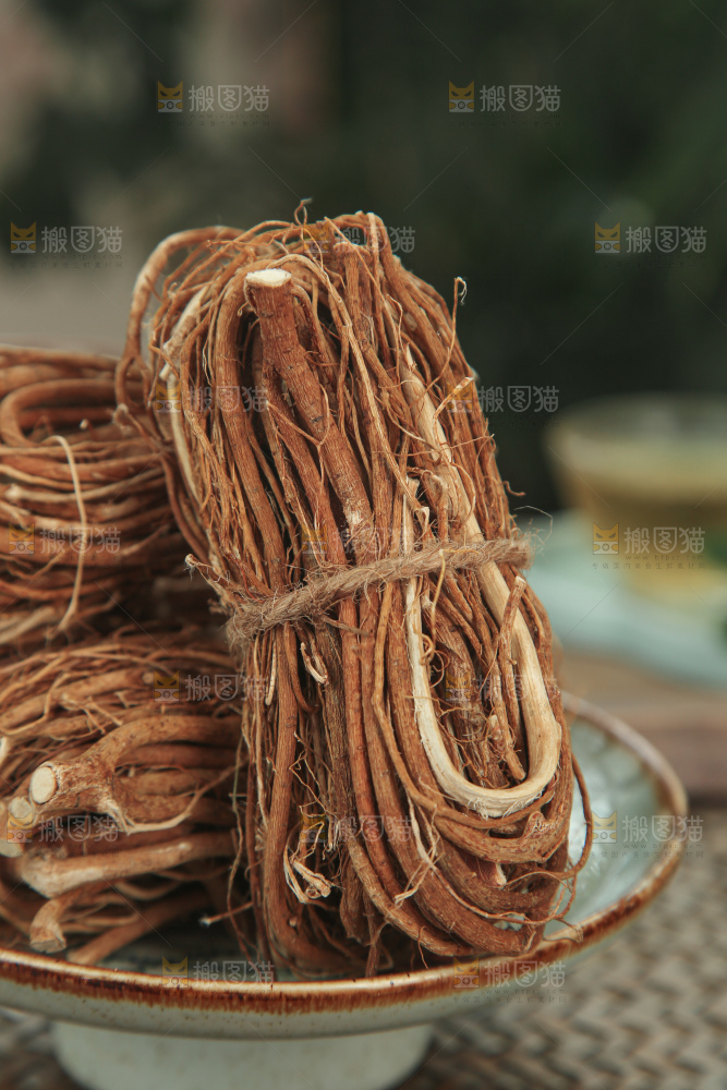 五指毛桃