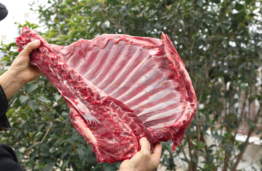 羊排