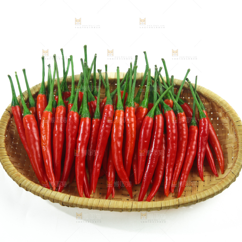 小米椒