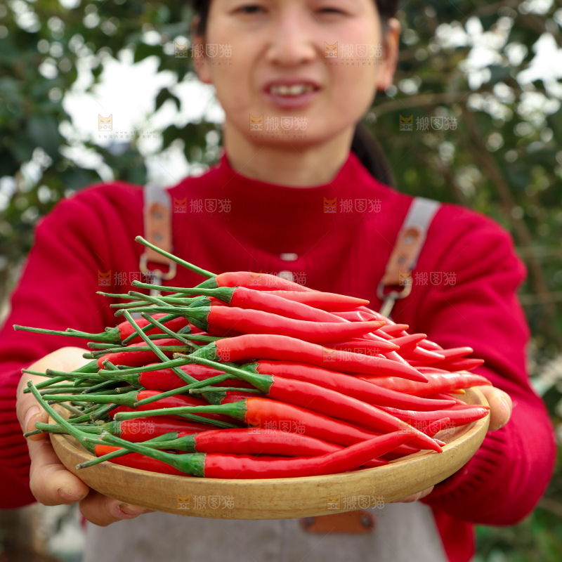 小米辣