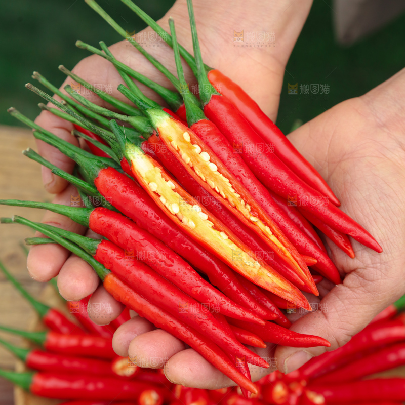 小米辣