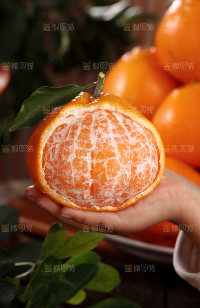 春见耙耙柑