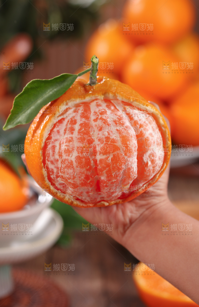 春见耙耙柑