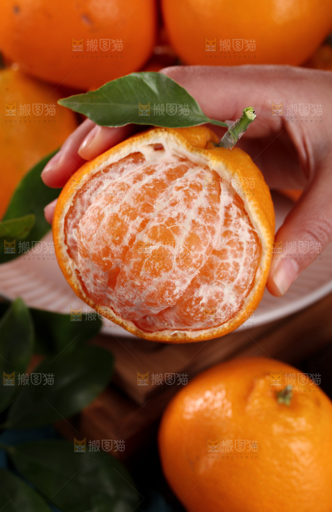 春见耙耙柑