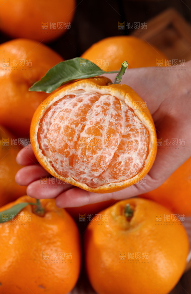 春见耙耙柑