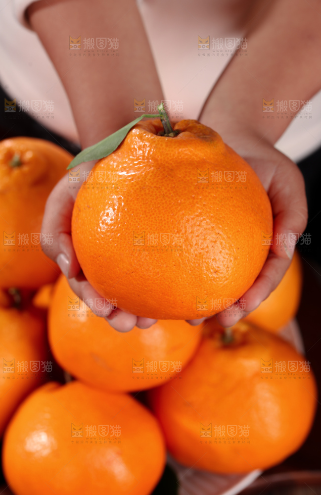 春见耙耙柑