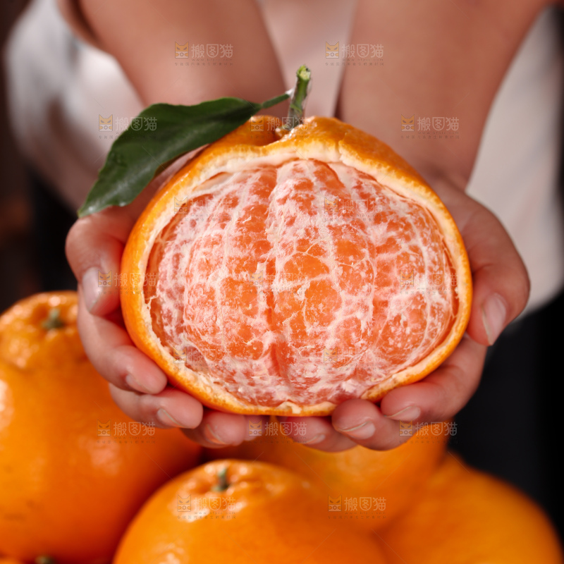 春见耙耙柑