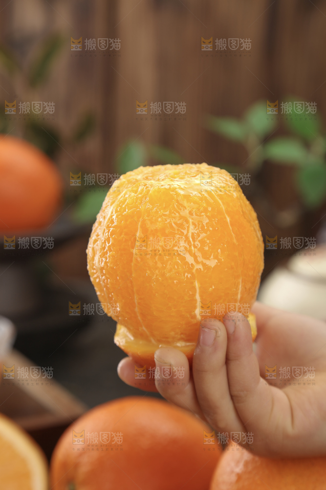 纽荷尔脐橙