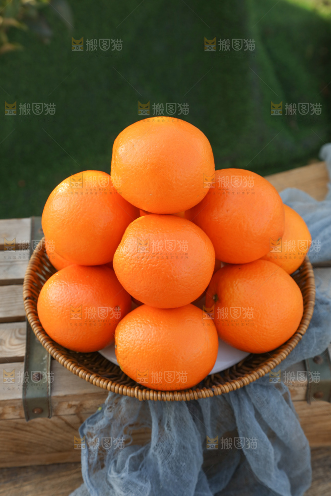 纽荷尔脐橙