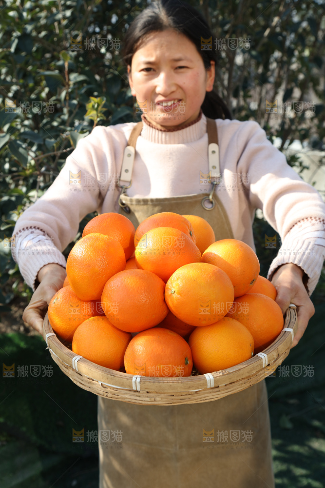 纽荷尔脐橙