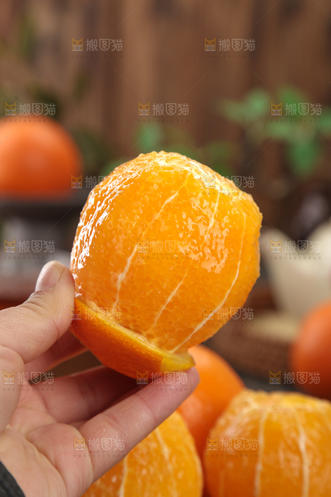 纽荷尔脐橙