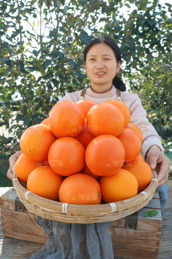 纽荷尔脐橙
