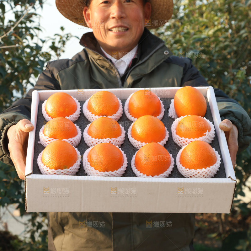 纽荷尔脐橙