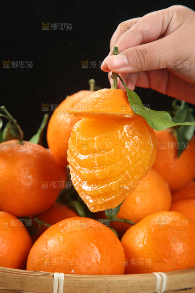 爱媛果冻橙