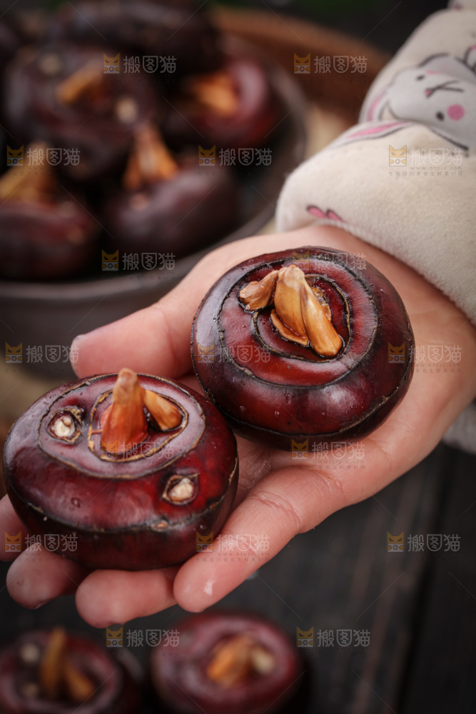 马蹄