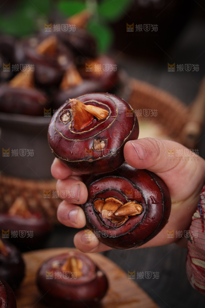 马蹄