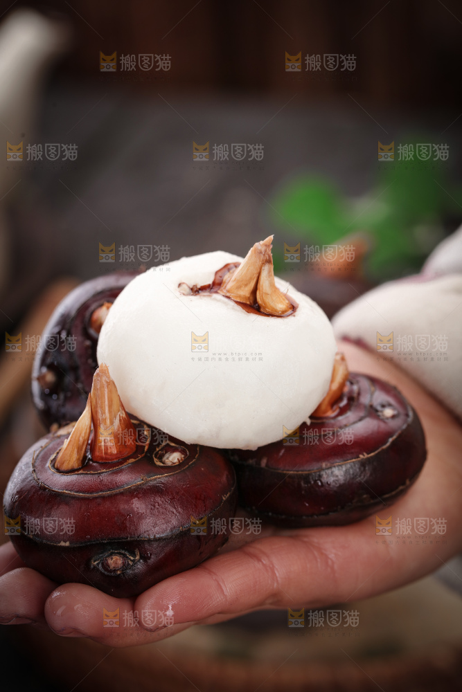 马蹄