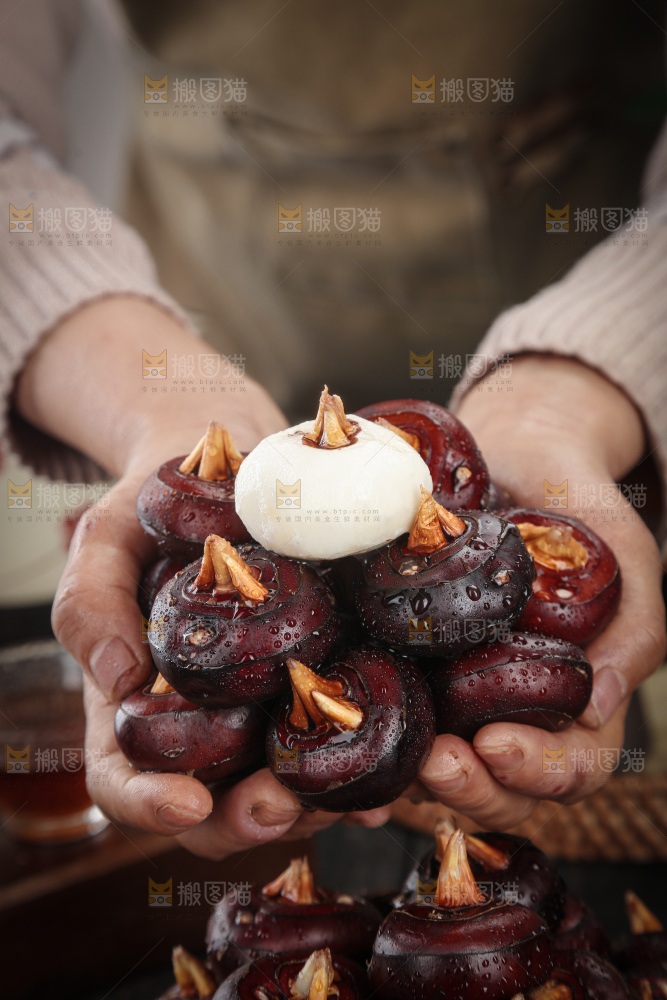马蹄