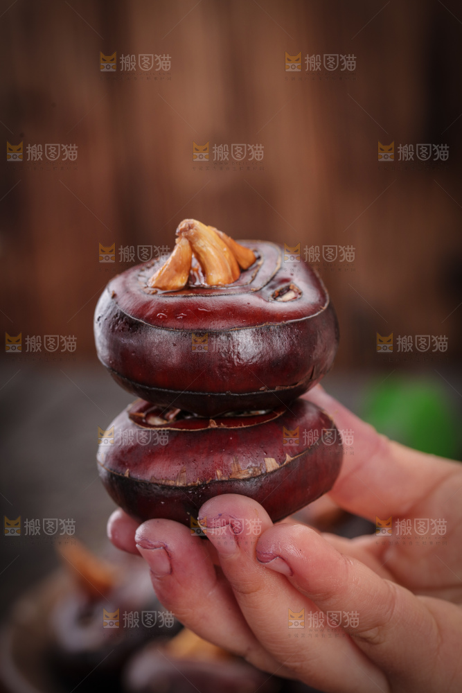 马蹄