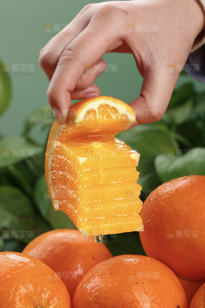 纽荷尔脐橙