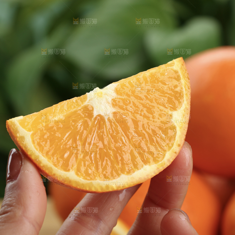 纽荷尔脐橙