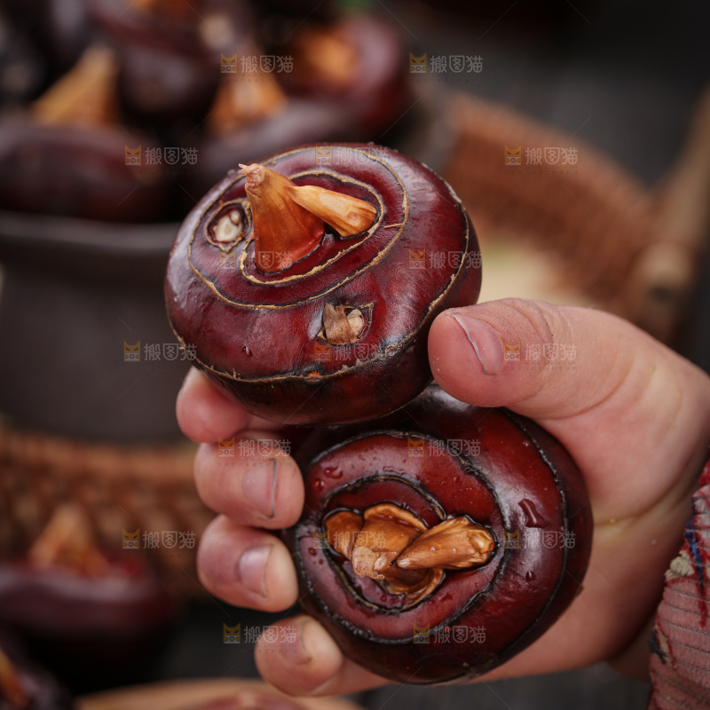 马蹄