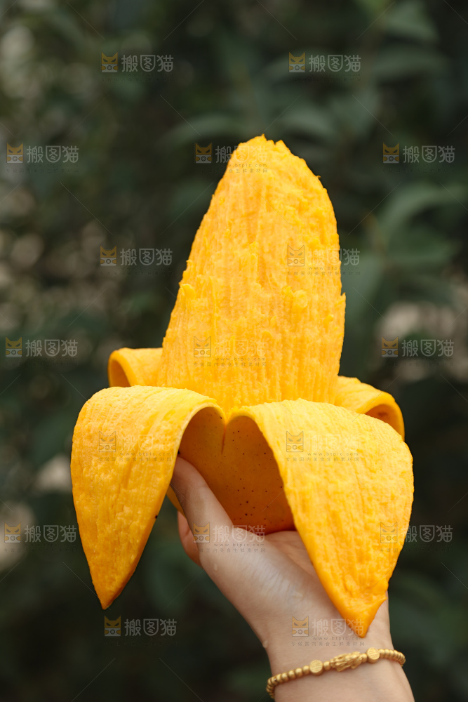 水仙芒