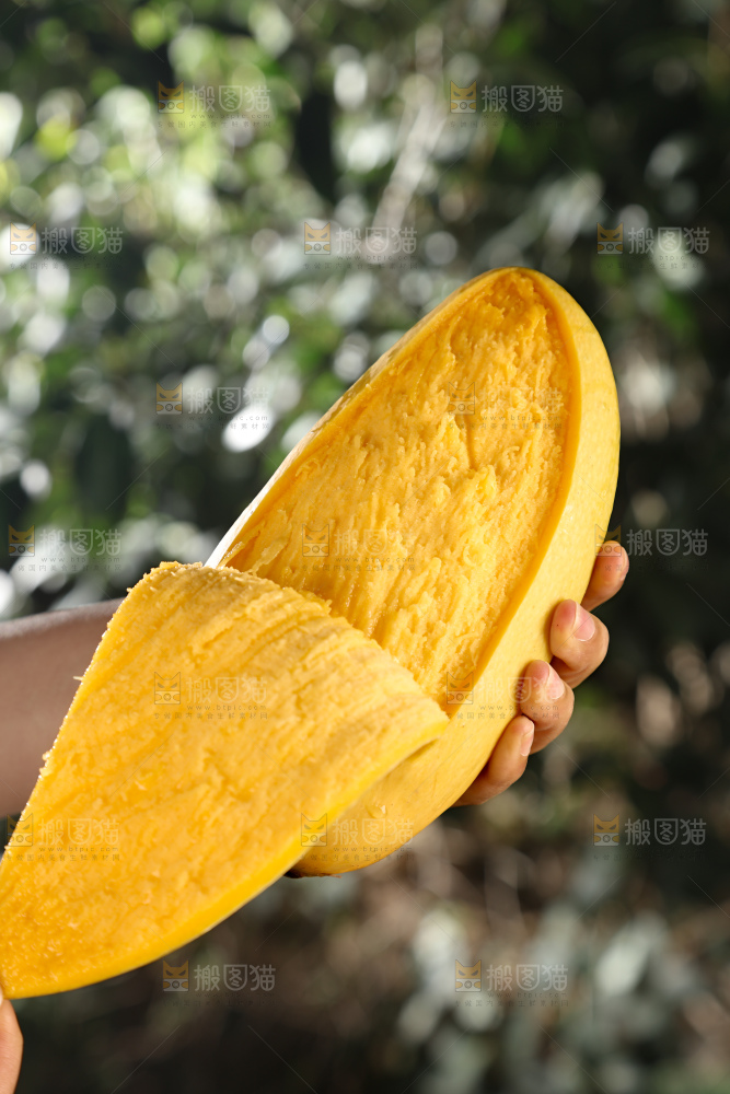 水仙芒