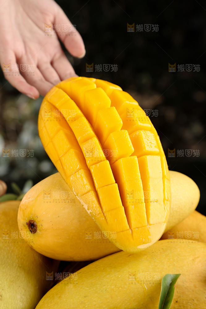 水仙芒