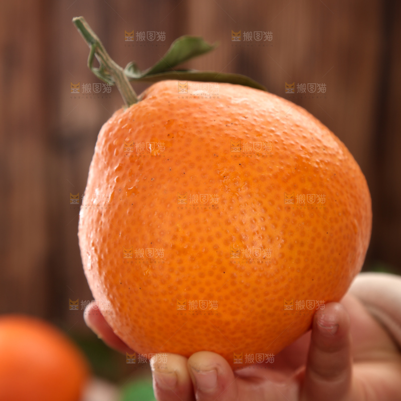 爱媛果冻橙