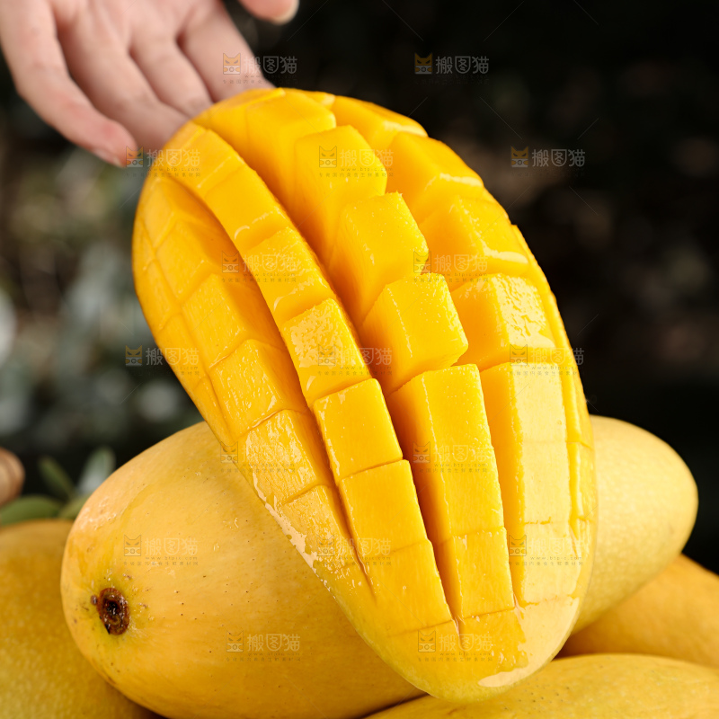 水仙芒